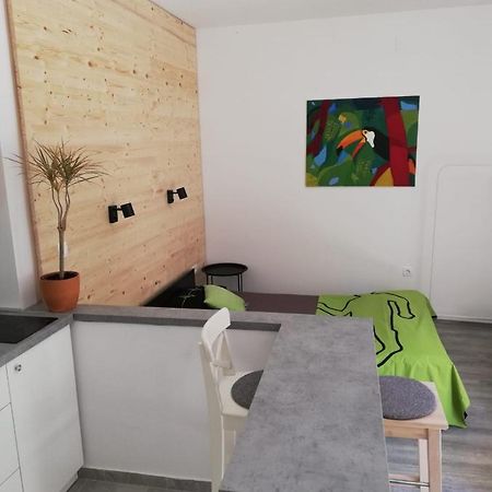 Studio Apartman Fleiss Apartment Samobor Ngoại thất bức ảnh