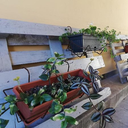 Studio Apartman Fleiss Apartment Samobor Ngoại thất bức ảnh