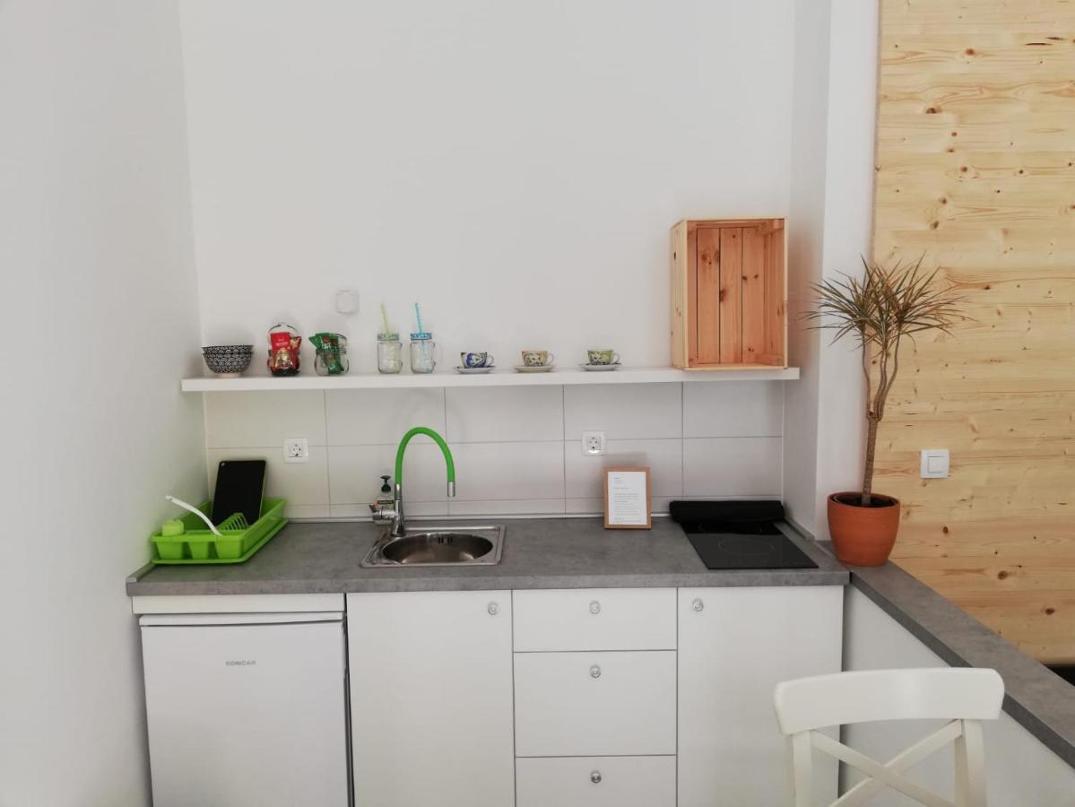Studio Apartman Fleiss Apartment Samobor Ngoại thất bức ảnh